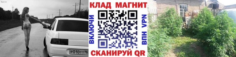 Купить закладку Боровск ГЕРОИН Альфа ПВП МЕФ КОКАИН