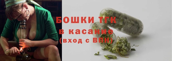 мяу мяу мука Аркадак