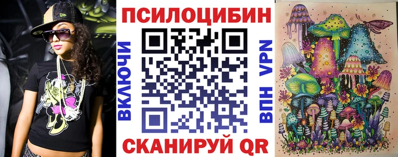 где купить   Боровск  Псилоцибиновые грибы прущие грибы 